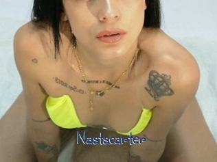 Nastscarter