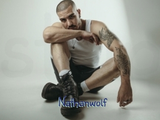 nathanwolf Stripx