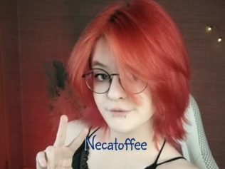 necatoffee Stripx