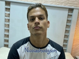 nicolashodgson Stripx