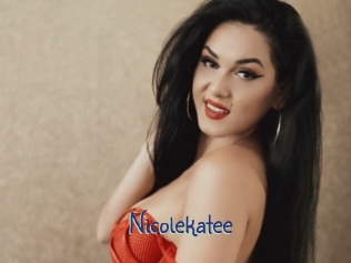 nicolekatee Stripx