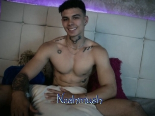 noahmush Stripx
