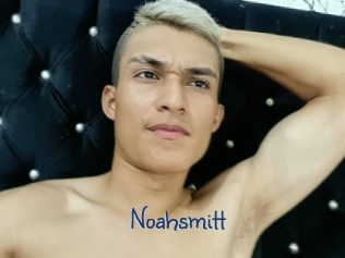 noahsmitt Stripx