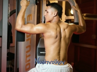 noahvolkov Stripx