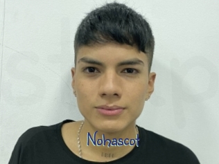nohascot Stripx