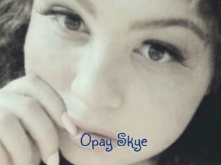 Opay_Skye