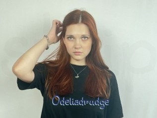 Odeliadrudge