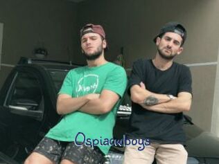 Ospiacwboys