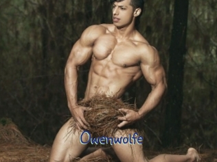 owenwolfe Stripx