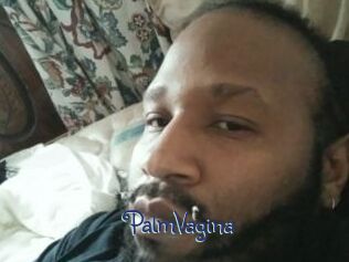 PalmVagina