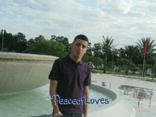 PeaceofLoves