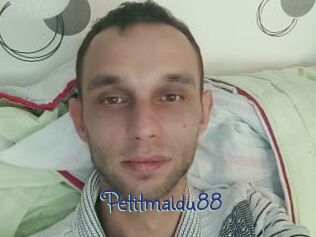 Petitmaldu88 Stripx
