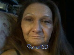 Puma420