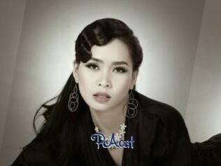 PAcat
