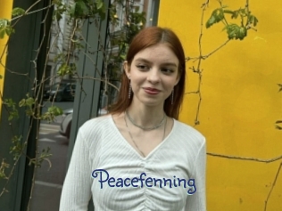 Peacefenning