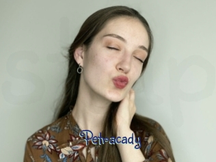 Petracady