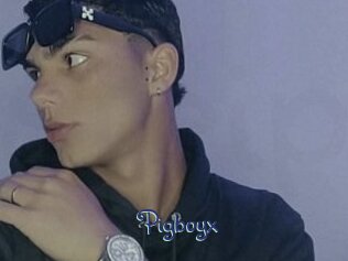 Pigboyx