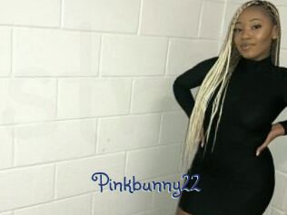 Pinkbunny22