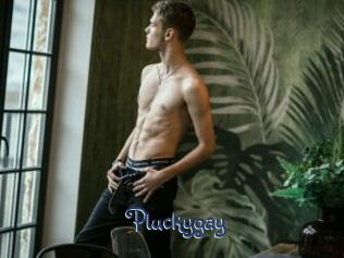 Pluckygay