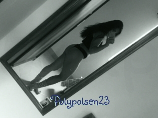 Polypolsen23