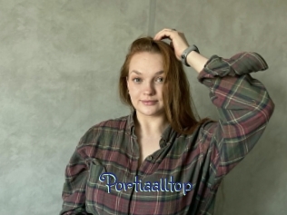 Portiaalltop