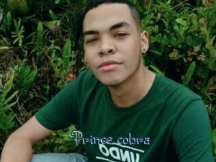 Prince_cobra