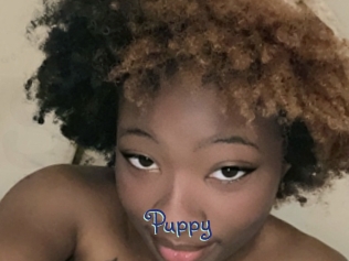 Puppy