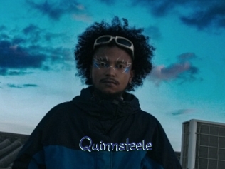 quinnsteele Stripx