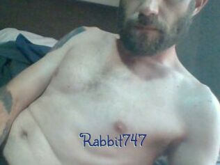 Rabbit747