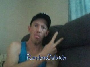 RandomOstrich
