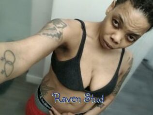 Raven_Stud