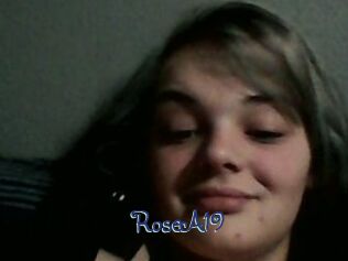 RoseA19
