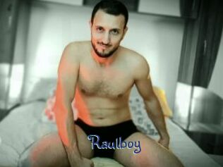 raulboy Stripx