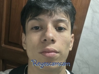 reyescamcam Stripx