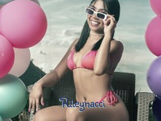 Rileynacci