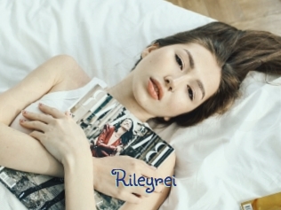 Rileyrei