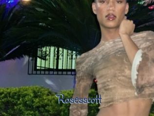 rosesscott Stripx