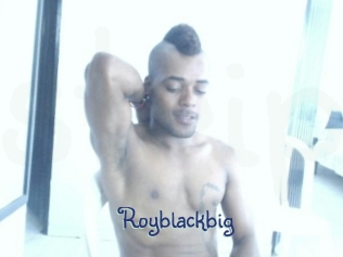 royblackbig Stripx