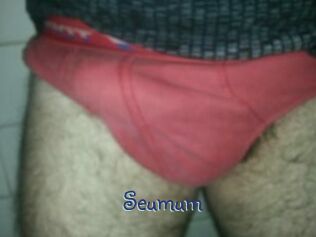 Seumum Stripx