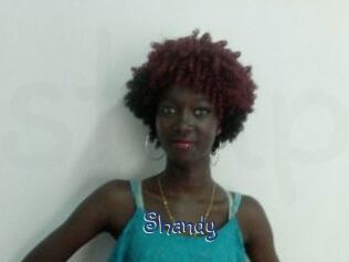 Shandy