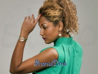 ShaniaDina Stripx