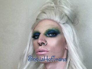 SheilaHotTrans
