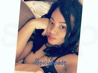 SpicySpade