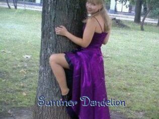 Summer_Dandelion