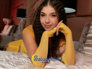 salydeniro Stripx