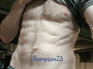 sampzon23 Stripx