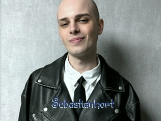 sebastianhort Stripx