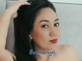 selindongel Stripx