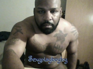 sexyplayboytoy Stripx