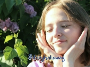 Sibleyhalloway